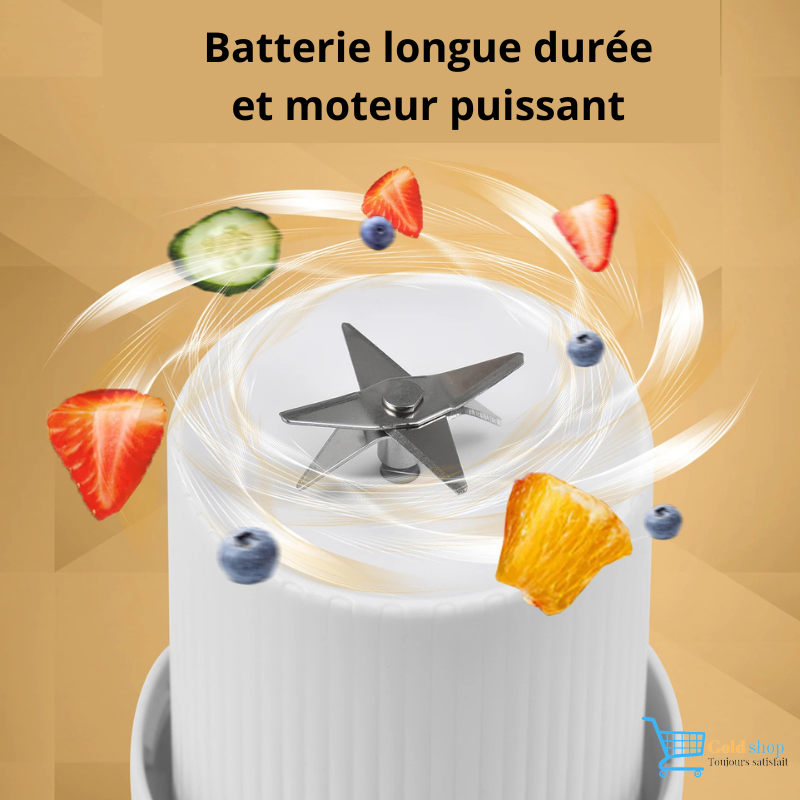 MIXEUR PORTABLE